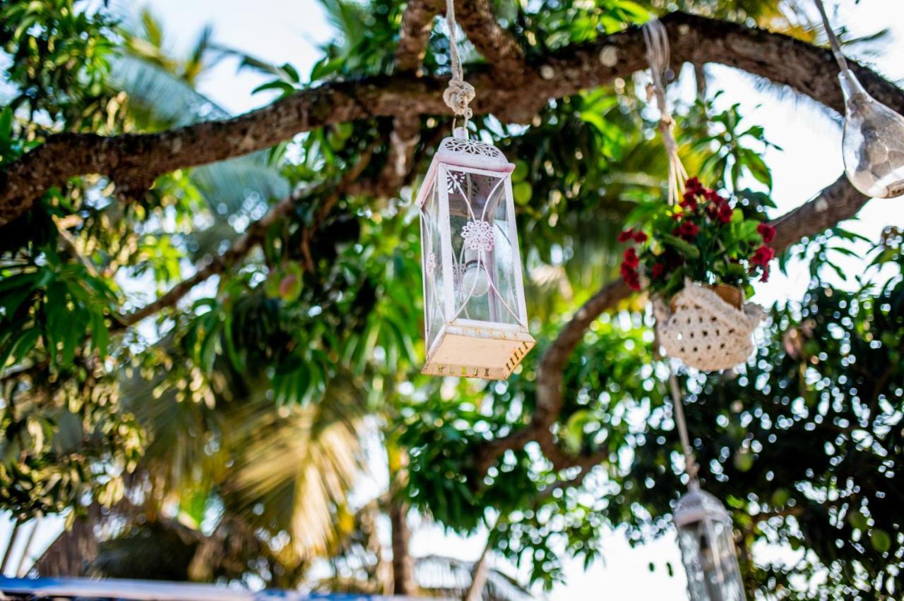 Bed and Breakfast White House In Goa, Truly Amazing Experience Saligao Zewnętrze zdjęcie